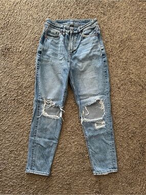 AE Strigid Ripped Mom Jean